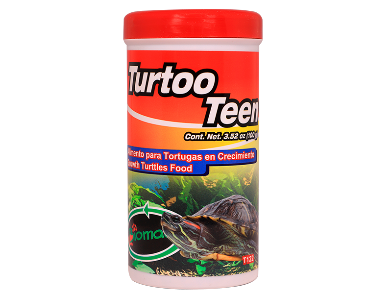 TURTOO TEEN