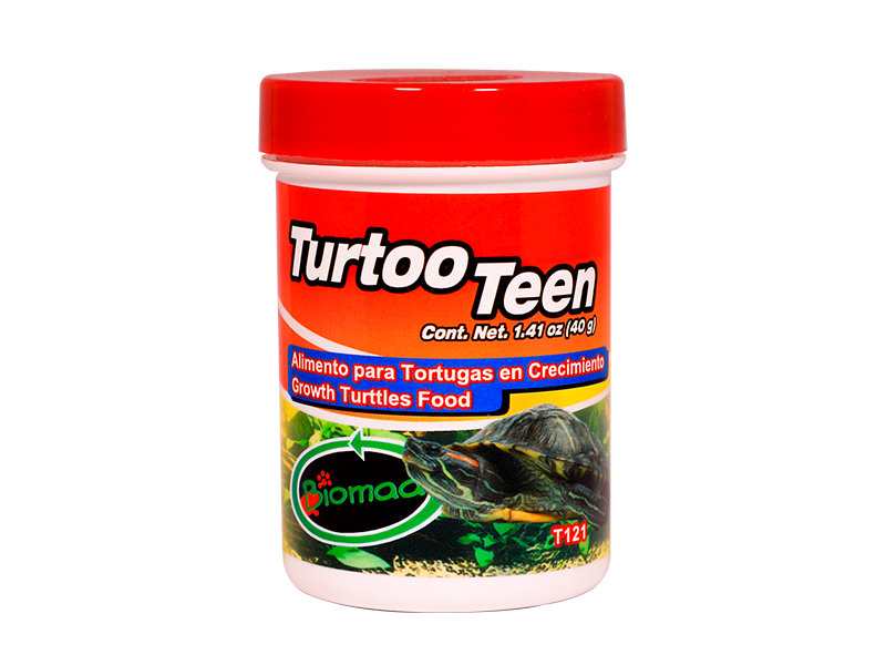 TURTOO TEEN